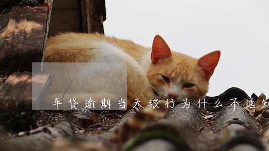 车贷逾期当天银行为什么不通知