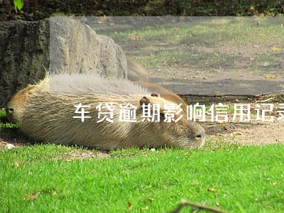 车贷逾期影响信用记录 车贷逾期影响信用记录