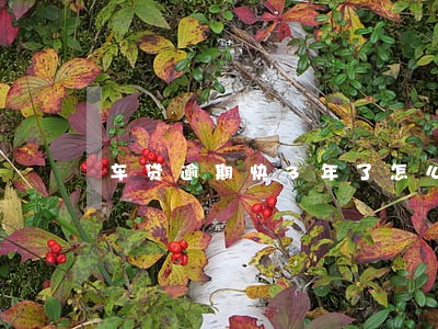 车贷逾期快3年了怎么办 车贷逾期快3年了怎么办