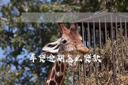 车贷逾期怎么贷款 车贷逾期怎么贷款