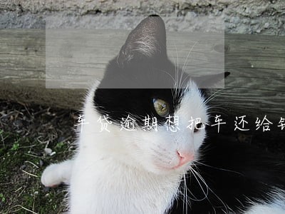车贷逾期想把车还给银行行吗 车贷逾期想把车还给银行行吗