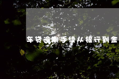 车贷逾期手续从银行到金融后果 车贷逾期手续从银行到金融后果