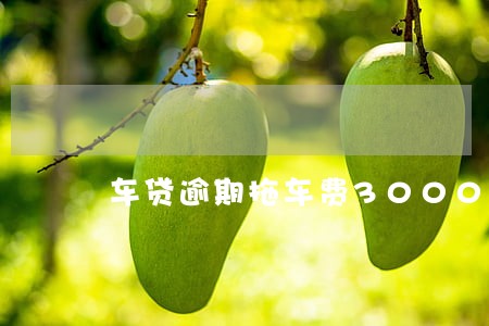 车贷逾期拖车费3000元 车贷逾期拖车费3000元
