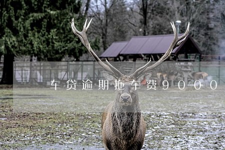车贷逾期拖车费9000 车贷逾期拖车费9000