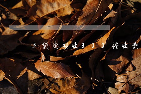 车贷逾期收300催收费 车贷逾期收300催收费