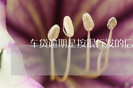车贷逾期是按银行发的信息算吗 车贷逾期是按银行发的信息算吗