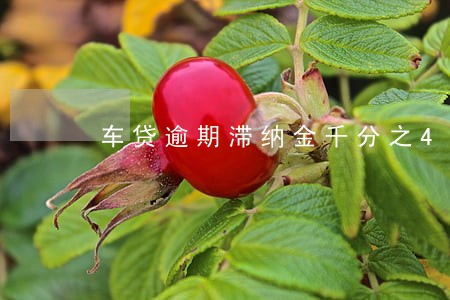 车贷逾期滞纳金千分之4合理吗 车贷逾期滞纳金千分之4合理吗
