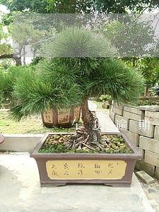 车贷逾期第三天银行不扣款 车贷逾期第三天银行不扣款