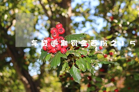 车贷逾期罚金百份之150 车贷逾期罚金百份之150