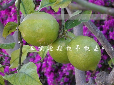 车贷逾期能不能去4s店做保养 车贷逾期能不能去4s店做保养