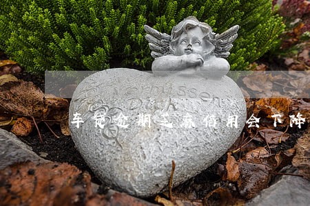 车贷逾期芝麻信用会下降吗 车贷逾期芝麻信用会下降吗