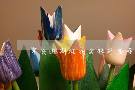 车贷逾期被拍卖银行显示 车贷逾期被拍卖银行显示