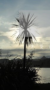 车贷逾期被起诉只还本金吗 车贷逾期被起诉只还本金吗