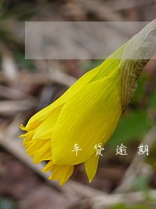 车贷逾期被银行拖走了 车贷逾期被银行拖走了