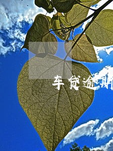 车贷逾期被银行收楼 车贷逾期被银行收楼