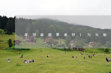 车贷逾期要承担1万元拖车费 车贷逾期要承担1万元拖车费