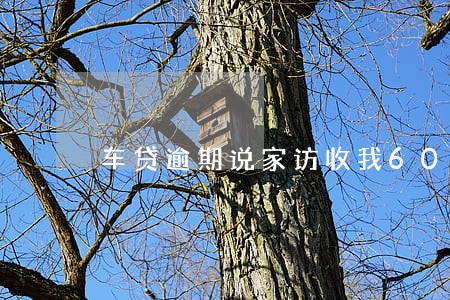 车贷逾期说家访收我600费用