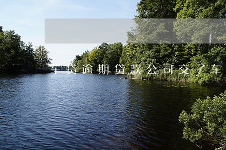 车贷逾期贷款公司交了车贷