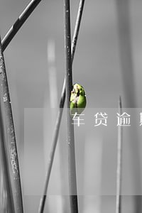 车贷逾期贷款公司扣手续费 车贷逾期贷款公司扣手续费