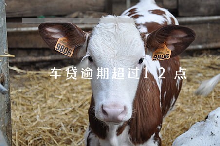 车贷逾期超过12点 车贷逾期超过12点