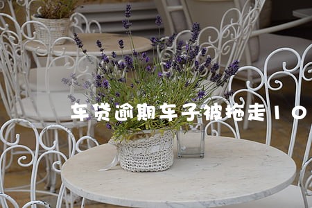 车贷逾期车子被拖走10个月 车贷逾期车子被拖走10个月
