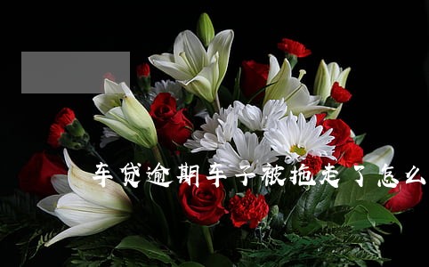 车贷逾期车子被拖走了怎么办6 车贷逾期车子被拖走了怎么办6