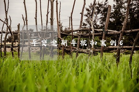 车贷逾期车被扣案例6 车贷逾期车被扣案例6