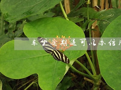 车贷逾期过可以办信用卡吗 车贷逾期过可以办信用卡吗