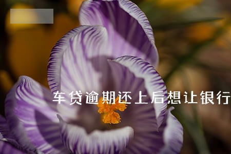 车贷逾期还上后想让银行低帐 车贷逾期还上后想让银行低帐