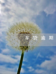 车贷逾期还款6次还能房贷吗 车贷逾期还款6次还能房贷吗