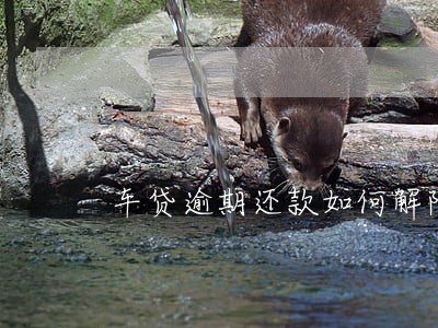 车贷逾期还款如何解除银行卡冻结 车贷逾期还款如何解除银行卡冻结