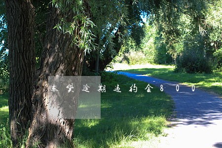 车贷逾期违约金800 车贷逾期违约金800
