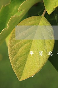 车贷逾期违约金9000