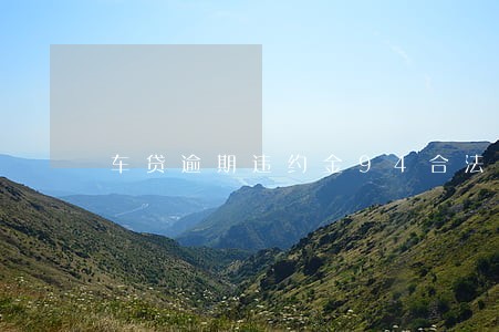 车贷逾期违约金94合法吗 车贷逾期违约金94合法吗