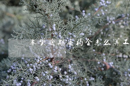 车贷逾期违约金怎么算工商银行 车贷逾期违约金怎么算工商银行