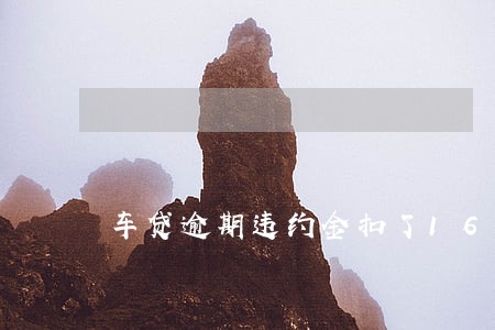 车贷逾期违约金扣了163 车贷逾期违约金扣了163