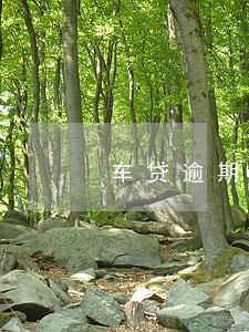 车贷逾期金融垫付2个月