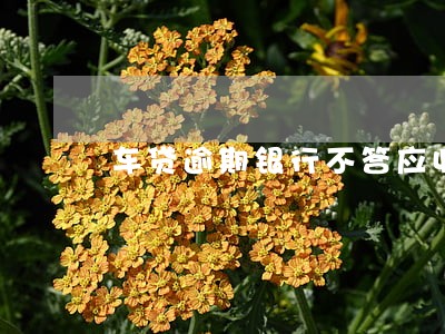 车贷逾期银行不答应收车 车贷逾期银行不答应收车