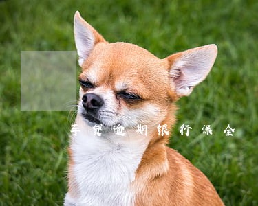 车贷逾期银行保全 车贷逾期银行保全