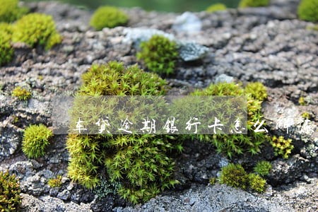 车贷逾期银行卡怎么解冻 车贷逾期银行卡怎么解冻