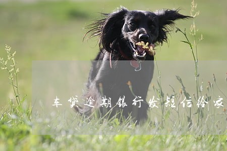 车贷逾期银行发短信给家里人 车贷逾期银行发短信给家里人