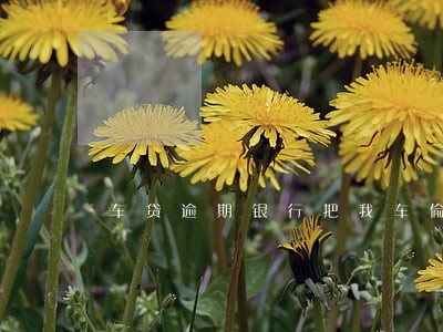 车贷逾期银行把我车偷了 车贷逾期银行把我车偷了