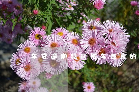 车贷逾期银行拖车会真的拖吗 车贷逾期银行拖车会真的拖吗