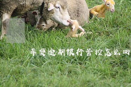 车贷逾期银行管控怎么回事 车贷逾期银行管控怎么回事