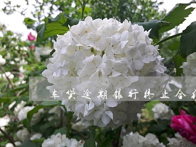 车贷逾期银行终止合约 车贷逾期银行终止合约