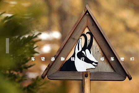 车贷逾期银行说收车他们经营 车贷逾期银行说收车他们经营