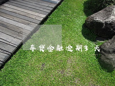车贷金融逾期3天 车贷金融逾期3天