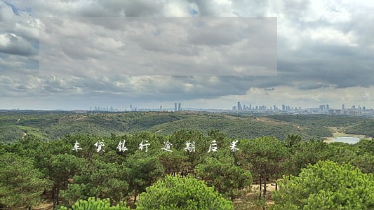 车贷银行逾期后果 车贷银行逾期后果