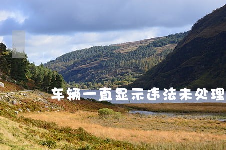 车辆一直显示违法未处理