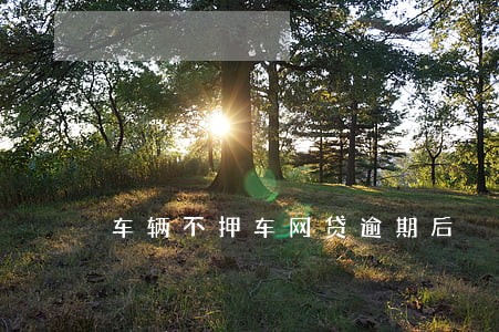 车辆不押车网贷逾期后 车辆不押车网贷逾期后